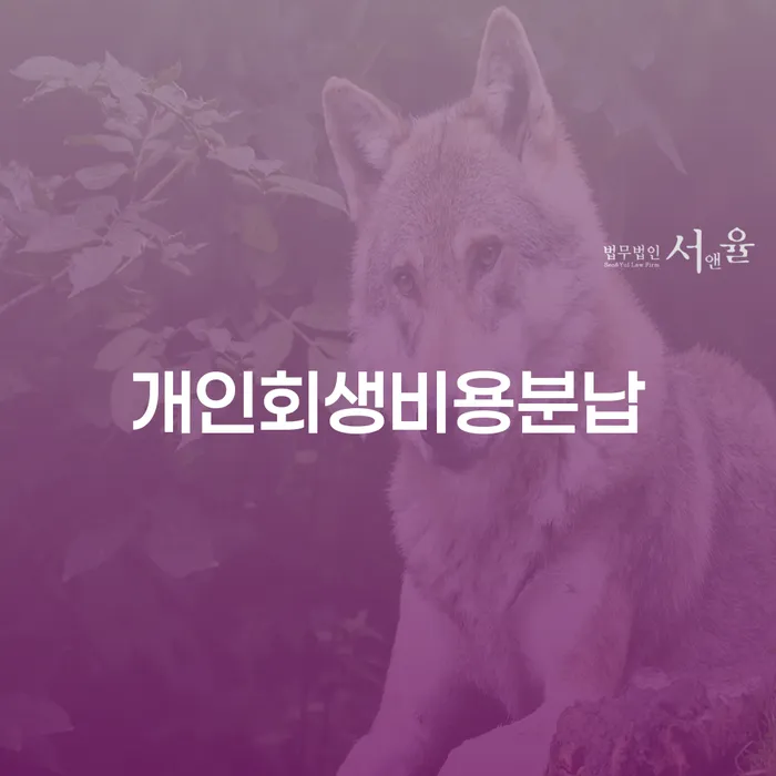 개인회생법무법인 개인회생으로 해결방법 자세히알고