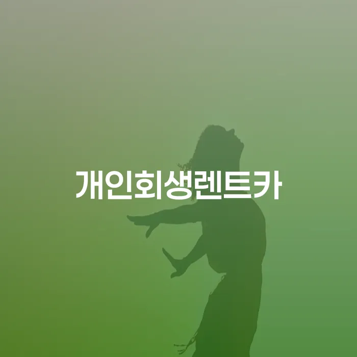 캐피탈주부대출 연체 시 개인회생 문제해결방법 신청절차에