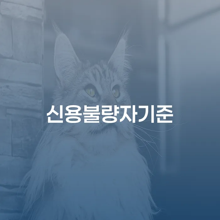 개인회생채권자 개인회생으로 해결 중요한정보