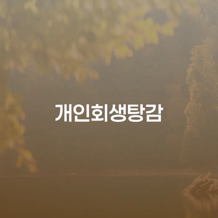 신용카드연체시 개인회생으로 방법 장점을