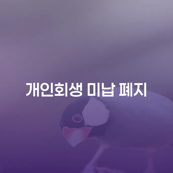 제주특별자치도 개인회생도박으로 인한 채무 채무조정제도을 이용하여 실제사례