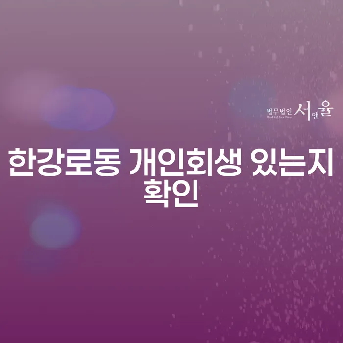 한강로동 개인회생 있는지확인