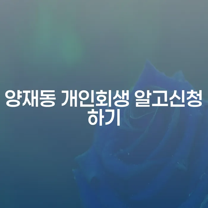 양재동 개인회생 알고신청하기