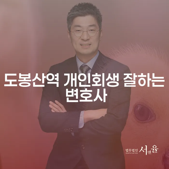 도봉산역 개인회생 잘하는 변호사