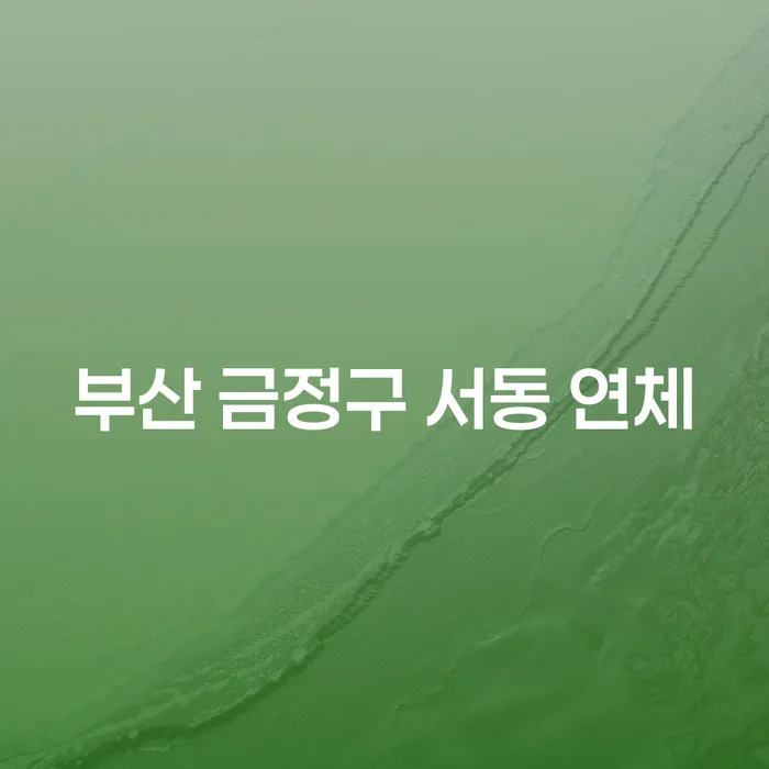 부산 금정구 서동 연체 문제로 고민 중이신가요? 월급압류를 피할 수 있는 방법을 알아보세요!