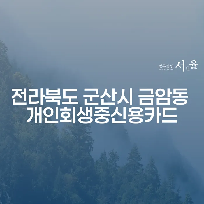 전라북도 군산시 금암동에서 개인회생 중 신용카드를 사용하는 방법은 무엇일까요?