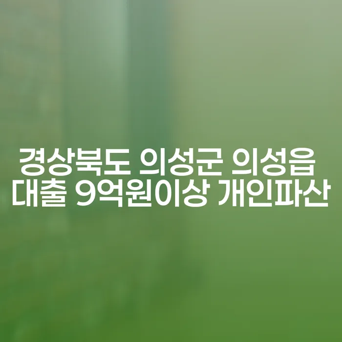 경상북도 의성군 의성읍 대출 9억원이상 개인파산, 해결할 수 있는 방법은?