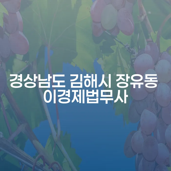 경상남도 김해시 장유동 이경제법무사: 불법대부업으로 인한 채무 문제 해결방안은?