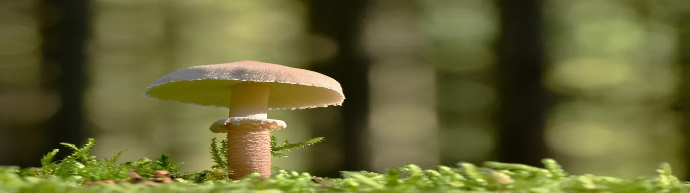 법무법인 서앤율